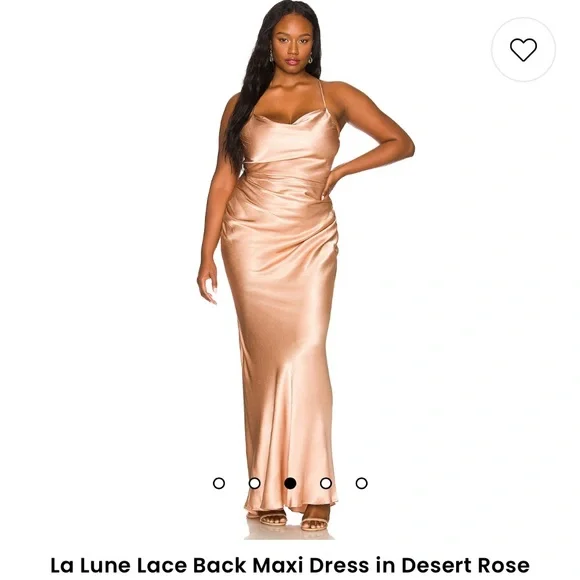 embroidered mesh lace dress Embroidered Mesh Maxi Dress